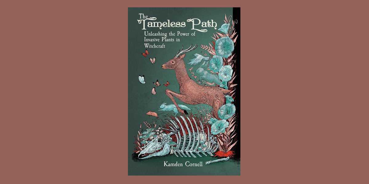 The Tameless Path, by Kamden Cornell